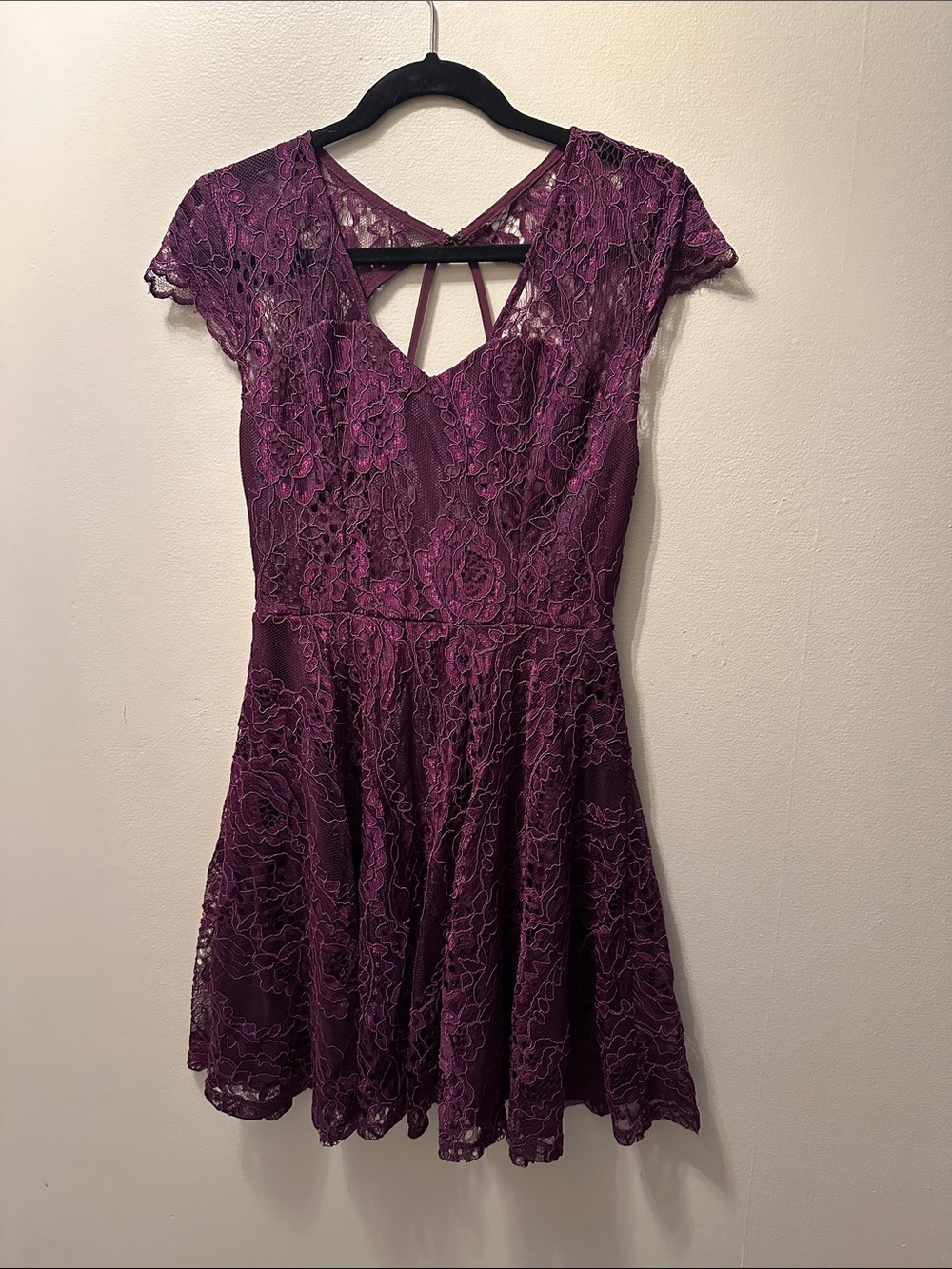 Francesca's Collections Plum Lace Fit & Flare Mini Dress